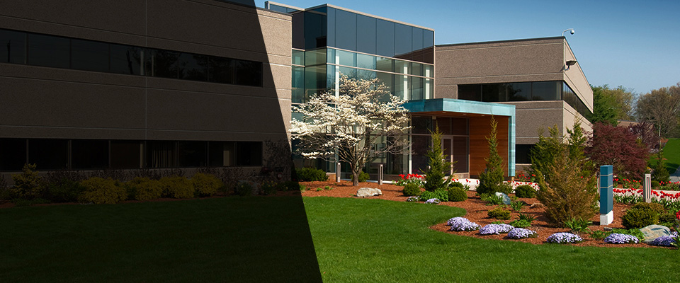 Bellwood Landscapers
