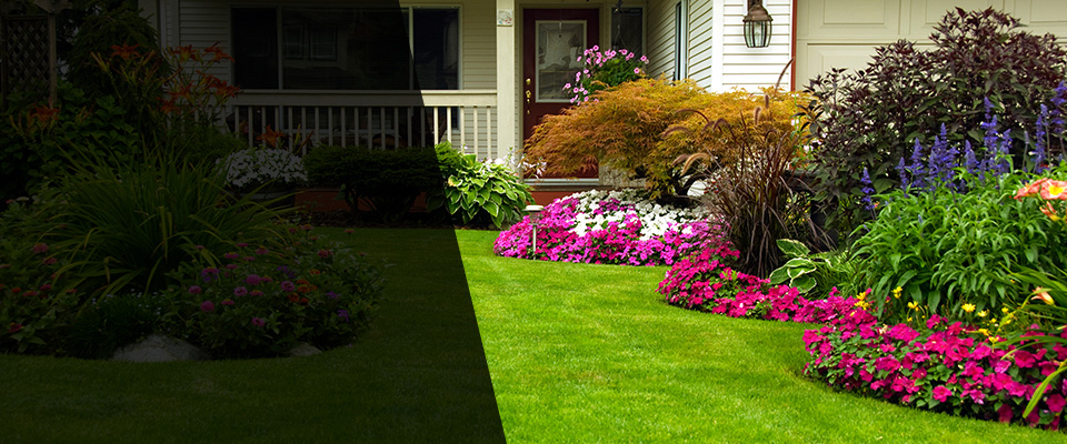 Bellwood Landscapers