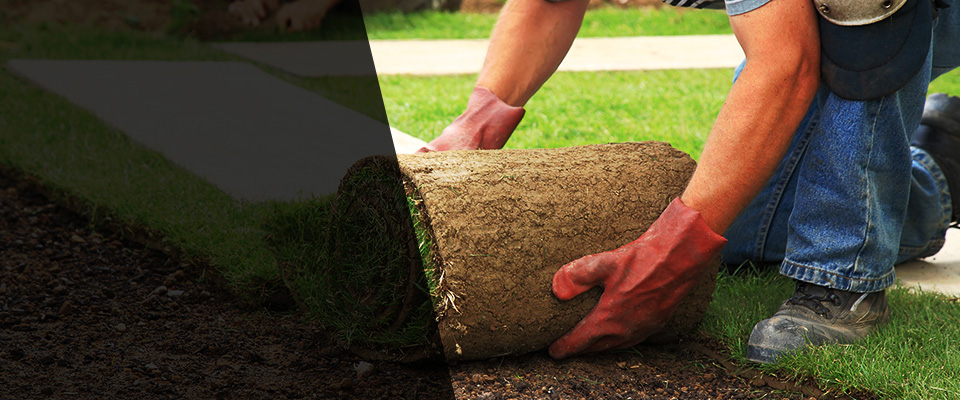 Bellwood Landscapers